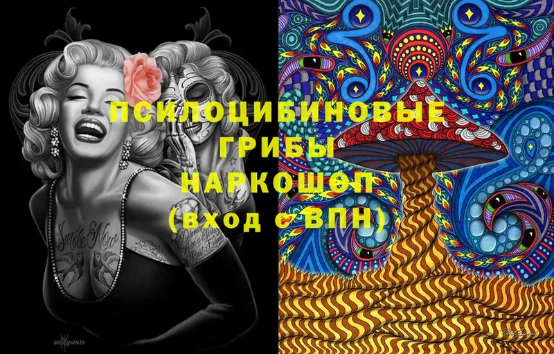 Галлюциногенные грибы Magic Shrooms  Анива 